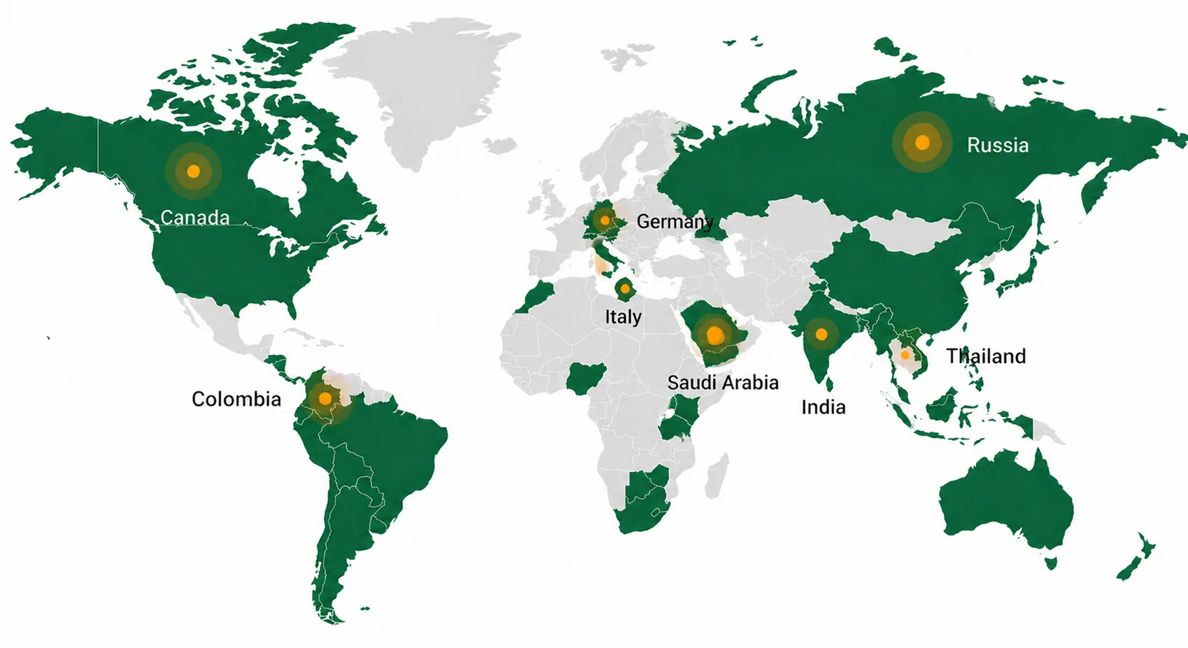 Bailiang Accounting Group global network
